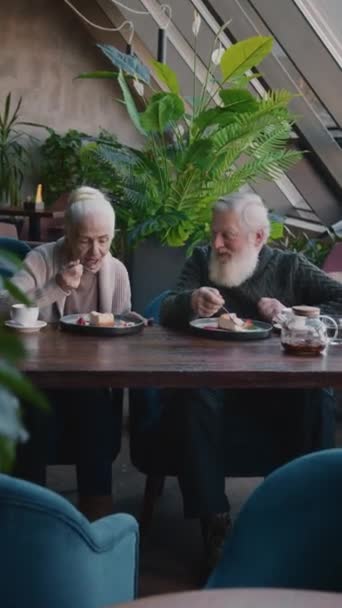 Full vertical shot of smiling elderly Caucasian husband and wife sitting together at table in cozy cafe, enjoying cheesecake, chatting and laughing while on romantic date or anniversary celebration - Footage, Video