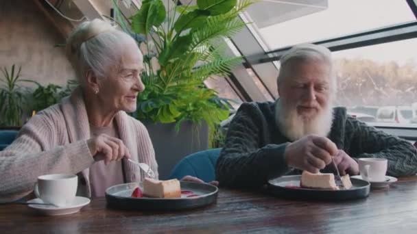 Średniej bliskości zdjęcie uśmiechniętej starszej białej kobiety i mężczyzny z grubą szarą brodą siedzących razem przy stole w przytulnej kawiarni, delektujących się sernikiem i rozmawiających podczas randek lub obchodów rocznicy - Materiał filmowy, wideo