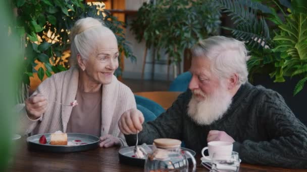 Średnie zbliżenie zdjęcia śmiejącej się starszej białej kobiety z siwymi włosami rozmawiającej z mężem, opowiadającej zabawną historię jedząc razem pyszny sernik w przytulnej kawiarni - Materiał filmowy, wideo