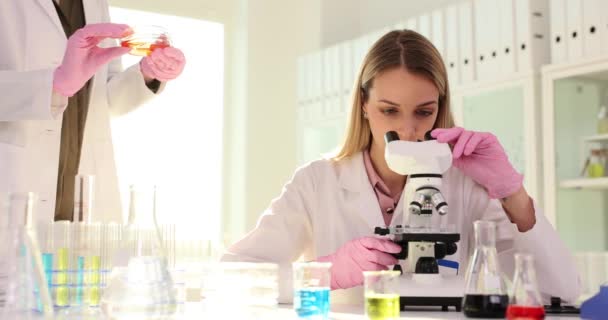 Νεαρή γυναίκα επιστήμονας αρχίζει ενδιαφέρουσα έρευνα κάθεται σε μεγάλο τραπέζι με μικροσκόπιο και δείγματα για να συνεργαστεί με στο εργαστήριο. Σπουδές βιοτεχνολογίας - Πλάνα, βίντεο