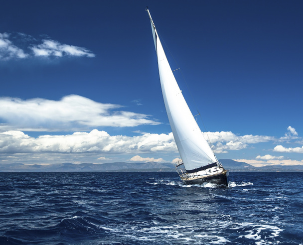 Вітрильна яхта гонки
 - Фото, зображення