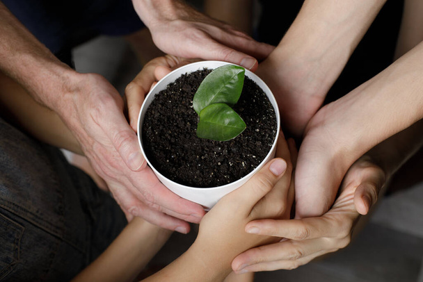 Viele menschliche Hand hält grüne Pflanze. Umweltschutzkonzept - Foto, Bild