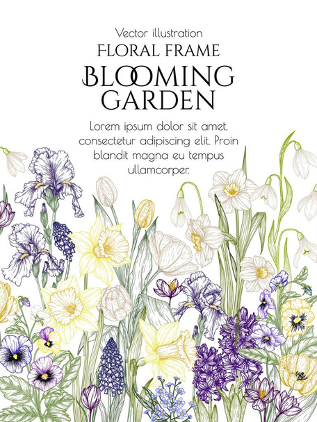  A tavaszi virágok vektorillusztrációja. Hóvirág, crocus, brunnera, tulipán, muscari, jácint, írisz, nárcisz, árvácska - Vektor, kép