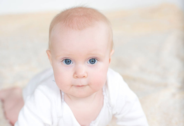 retrato de un lindo bebé - Foto, Imagen