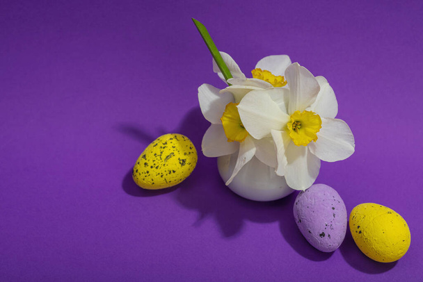Цветущие нарциссы с пасхальными яйцами и кроликами на фиолетовом фоне. Поздравление с праздником, открытка, традиционная праздничная композиция, вид сверху - Фото, изображение