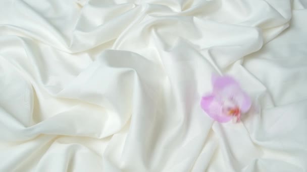 Różowy kwiat storczyka spada na satynową pościel, zwolniony ruch - Materiał filmowy, wideo