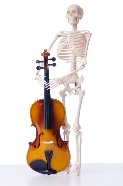 Σκελετός με βιολί απομονωθεί σε λευκό - Φωτογραφία, εικόνα