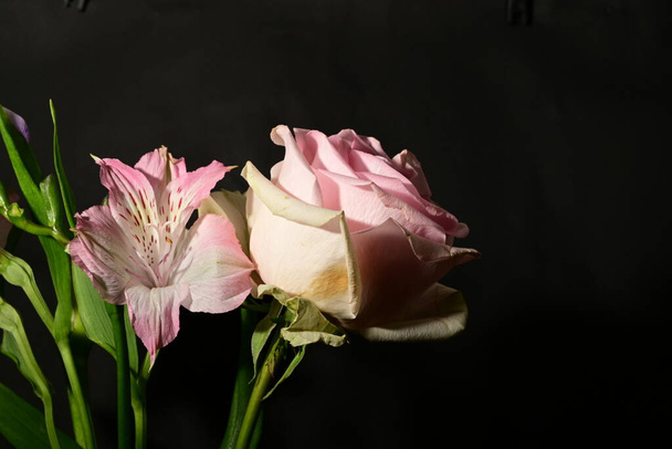 hermosas flores sobre fondo oscuro. concepto de primavera. - Foto, Imagen