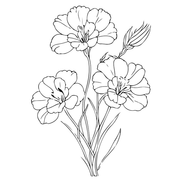 primrose dibujo flor violeta ilustración mano dibujar elemento - Vector, imagen