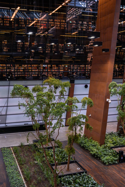 Public Library architecture bookcase Indoor trees Modern interior design of library in European Solidarity Centre Gdansk Poland. Biophilia design connecting with nature green areas. Modern abstract - Photo, Image