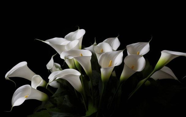 kleine begrafenis boeket van calla lelies met zwart lint op een grijze achtergrond  - Foto, afbeelding