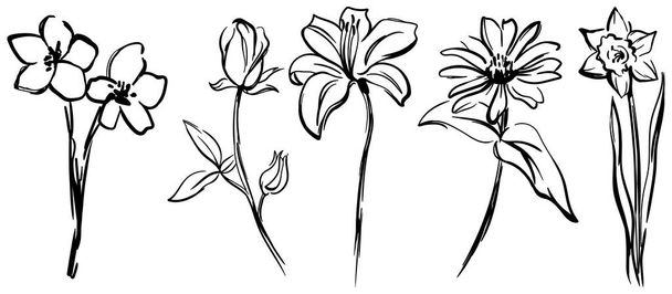 Silhouette noire et blanche Collection Illustration. Fleur abstraite dessinée à la main dans un style minimaliste. - Vecteur, image