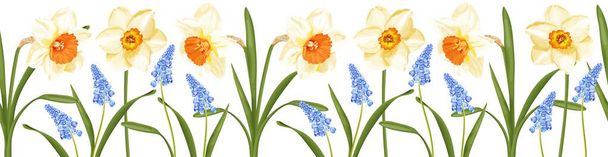 Floral απρόσκοπτη μπορντούρα με ανοιξιάτικα λουλούδια μπλε υάκινθος και νάρκισσους. Εικονογράφηση διανύσματος αποθέματος σε λευκό φόντο. - Διάνυσμα, εικόνα