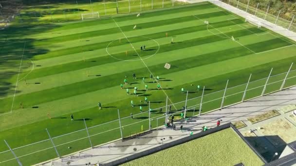 Aerial View of Soccer Training: Team Practice on Green Field, Antenni laukaus kaappaa jalkapallojoukkue ahkerasti harjoitellaan elinvoimainen vihreä kenttä, korostaen tiimityötä ja urheilullisuutta - Materiaali, video