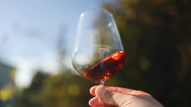 彼のブドウ畑のワイン醸造業者は,ピンクの優れたブドウで生産された高品質のイタリアまたはフランスのワインの香りと味を味わいます  - 映像、動画