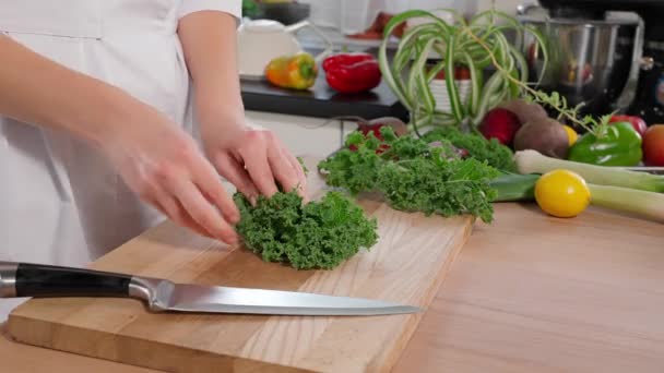 El chef prepara un desayuno vegano saludable. La mano de una mujer corta hojas de col rizada joven con un cuchillo afilado en una tabla de madera, verduras, alimentación saludable. Primer plano, vista lateral - Metraje, vídeo