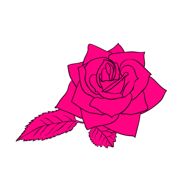 Rose sketch - Vektor, Bild