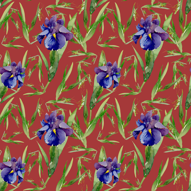 Garden iris flowers with grasshoppers - Zdjęcie, obraz