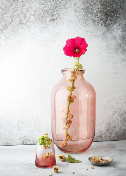 Çiçek aranjmanı kırmızı, büyük cam bir vazoda morumsu gülçiçeği. (Alcea rosea) Romantik çiçekli natürmort. Ev dekorasyonu konsepti. Boşluğu kopyala. - Fotoğraf, Görsel