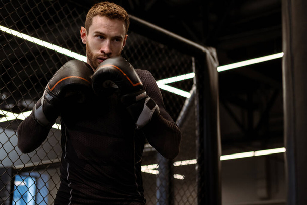 Концентрированный молодой боксер в перчатках, стоящий в боевой стойке, готовый бросить мощный удар в тяжелую сумку во время тренировки в современном боксерском зале - Фото, изображение
