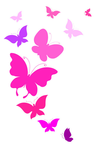 perhosia suunnittelu
 - Valokuva, kuva