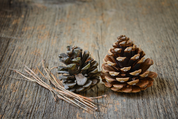 Two fir cones with branches - Photo, Image