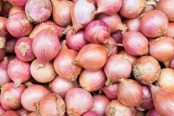 Red onion bulb,Soft focus - Фото, изображение