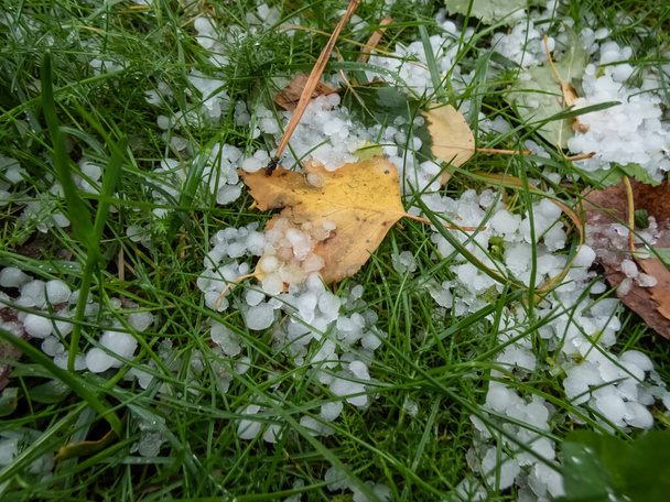 Nahaufnahme weißer, runder Hagelkörner auf dem Boden zwischen Gras und bunten Herbstblättern. Wetterlage - Foto, Bild