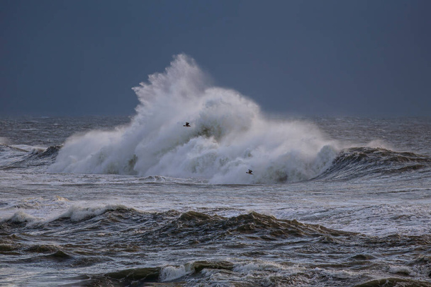 Μεγάλο κύμα καταιγίδας παφλασμός το σούρουπο. Βόρεια ακτή της Πορτογαλίας. - Φωτογραφία, εικόνα