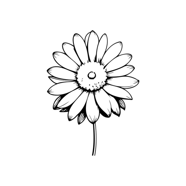 Marguerite Simgesi eli Çiçek logo vektör elementi ve sembolü siyah renk çizer - Vektör, Görsel