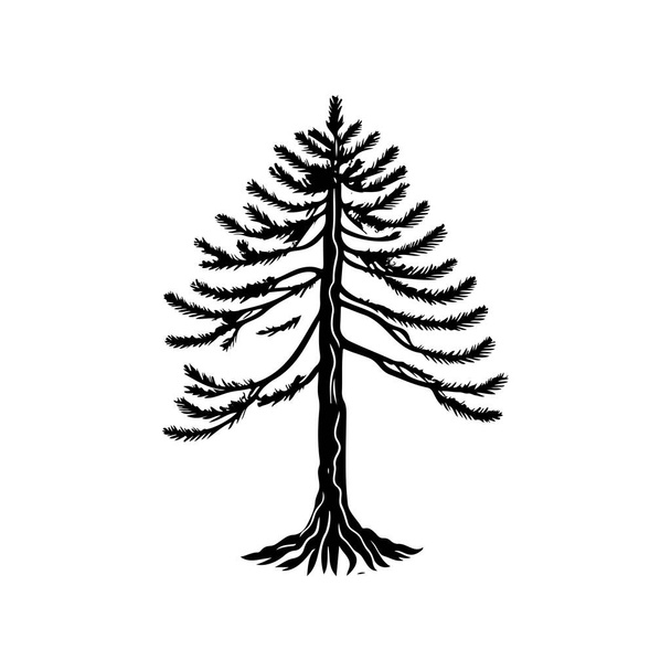 Pinus strobus Icona mano disegnare colore nero albero giorno logo elemento vettoriale e simbolo - Vettoriali, immagini