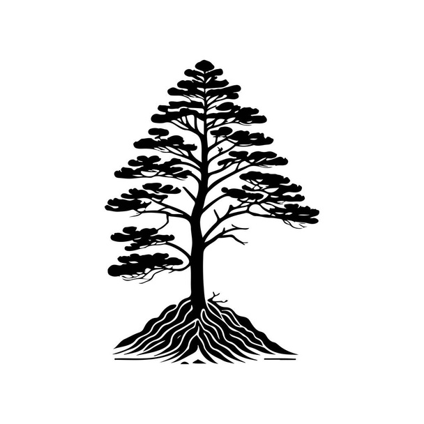Pinus strobus ikon kézzel felhívni fekete színű fa nap logó vektor elem és szimbólum - Vektor, kép