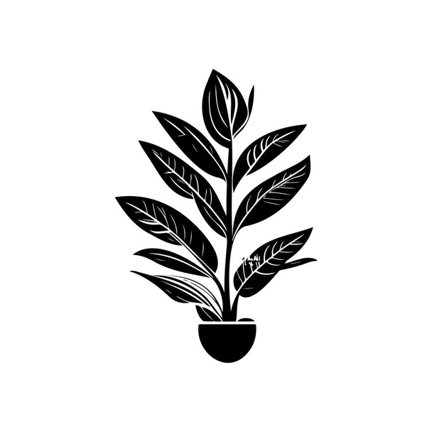 Aglaonema Icône dessiner à la main élément vectoriel logo végétal noir et symbole - Vecteur, image