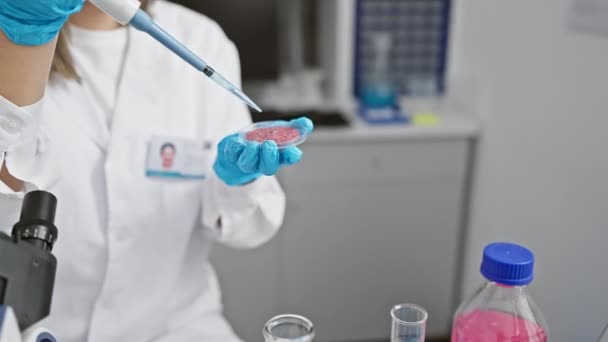 Μια νεαρή Ισπανίδα επιστήμονας σε ένα εργαστήριο διεξάγει πειράματα με ένα τρυβλίο Petri και μια πιπέτα, εστιασμένη κοντά σε ένα μικροσκόπιο.. - Πλάνα, βίντεο