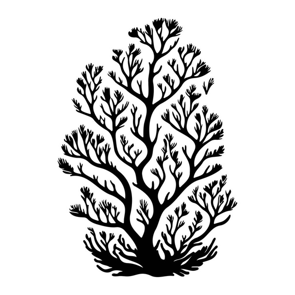 Staghorn Icon Hand zeichnen schwarze Farbe Koralle Logo Vektorelement und Symbol - Vektor, Bild