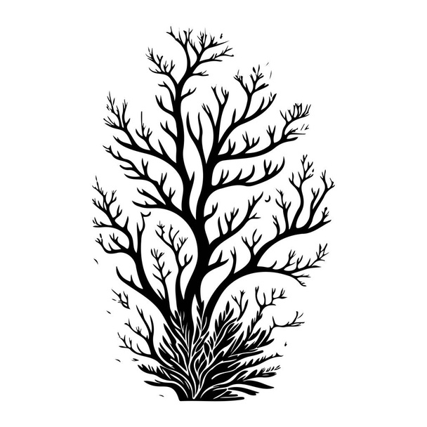Staghorn Icono mano dibujar color negro logotipo de coral elemento vectorial y símbolo - Vector, Imagen