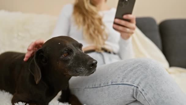Nuori nainen lemmikit hänen musta labrador, kun käytät älypuhelinta olohuoneessa viihtyisä koti. - Materiaali, video
