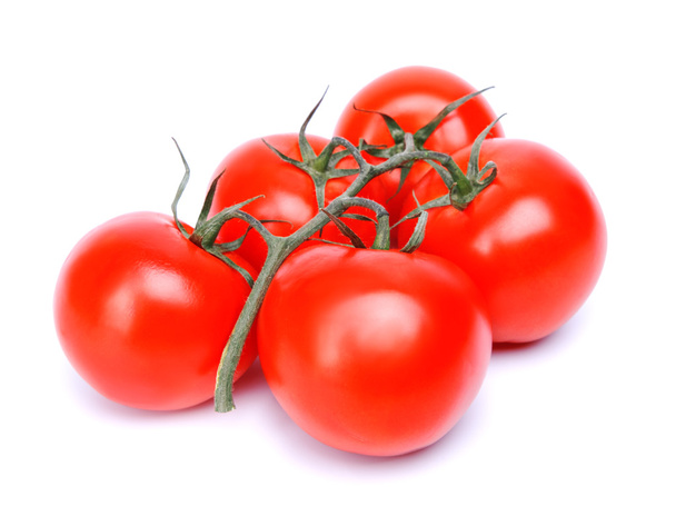 branch of tomatoes - 写真・画像