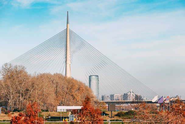 Most Ada w Belgradzie, Serbia, prezentuje najnowocześniejsze technologie i zdolności architektoniczne na tle miejskiego krajobrazu i spokojnych wód rzeki Savy. - Zdjęcie, obraz