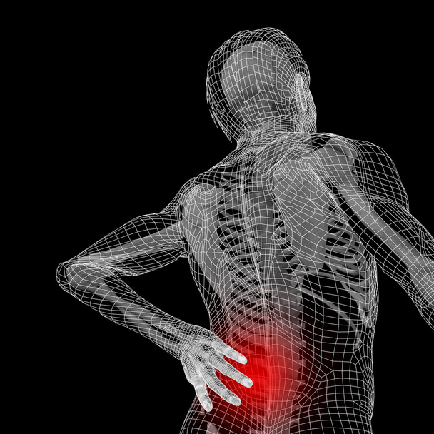 Anatomy with back pain - Photo, Image