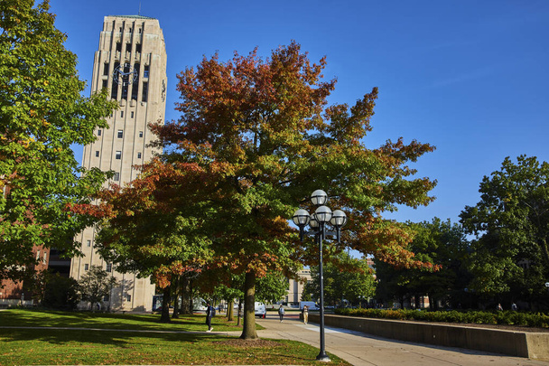 Studenci spacerujący pod jesiennymi drzewami w pobliżu słynnej Burton Memorial Tower na kampusie Uniwersytetu Michigan, Ann Arbor - Zdjęcie, obraz