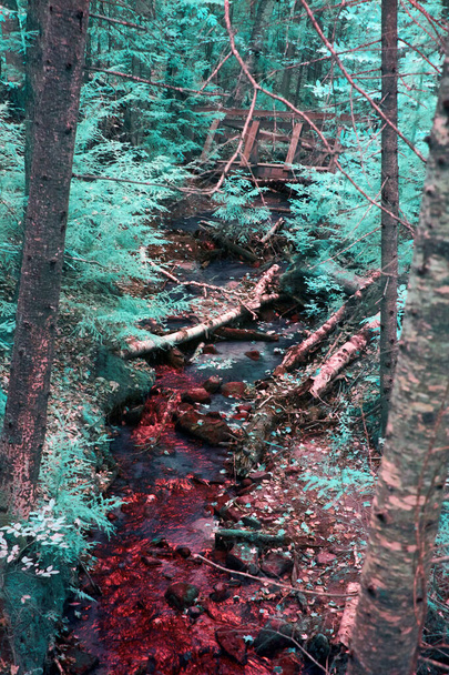 Surreal Infrared Fall Scene of Teal Trees and Red Stream in Michigan Tahquamenon Falls Forest - Photo, Image