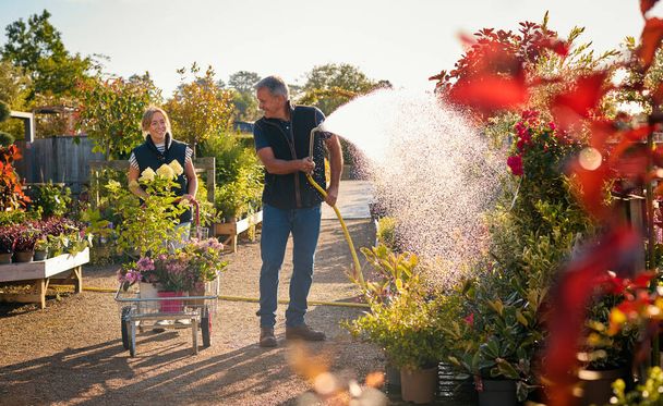 Mature Man And Woman Working Outdoors In Garden Centre Watering Plants - Fotoğraf, Görsel