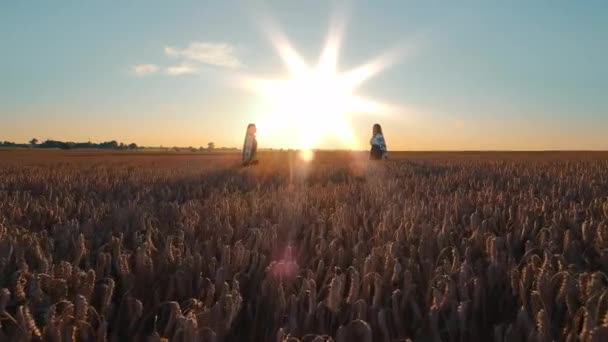 Sunset Serenity in Golden Wheat Field, két ember sziluettje egy hatalmas búzamezőn, szembeszökő naplemente ellen. - Felvétel, videó