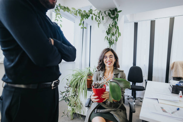 Onnellinen nainen, jolla on ruukkukasvi, nauraa ollessaan vuorovaikutuksessa miespuolisen kollegan kanssa hyvin valaistussa, nykyaikaisessa toimistotilassa.. - Valokuva, kuva