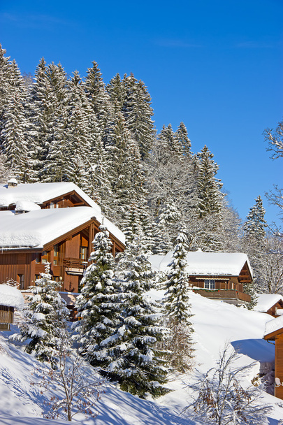Winter in the Swiss Alps - Fotografie, Obrázek