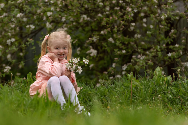 Šťastná malá usměvavá blondýnka se dvěma culíky drží kvetoucí květiny a sedí na trávě. Jarní den. - Fotografie, Obrázek
