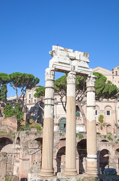 Ruins of the forum in Rome - Foto, immagini