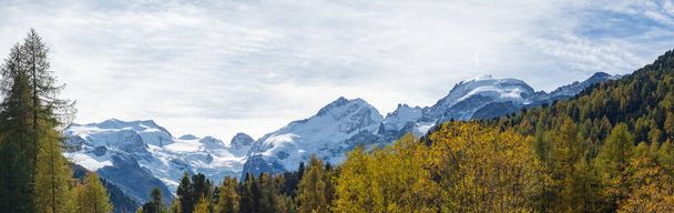 Increíble paisaje en las montañas suizas de Bernina. Un colorido bosque otoñal frente a los picos más altos de la inmensa Bernina.  - Foto, Imagen