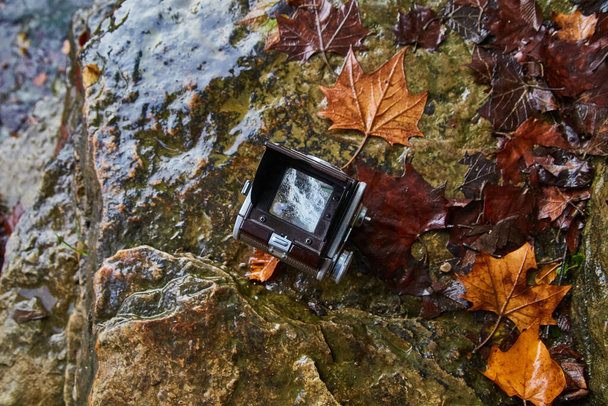 Vintage film camera on wet rocks amidst autumn leaves at Cataract Falls, Indiana, capturing timeless outdoor adventure in 2017. - Photo, Image
